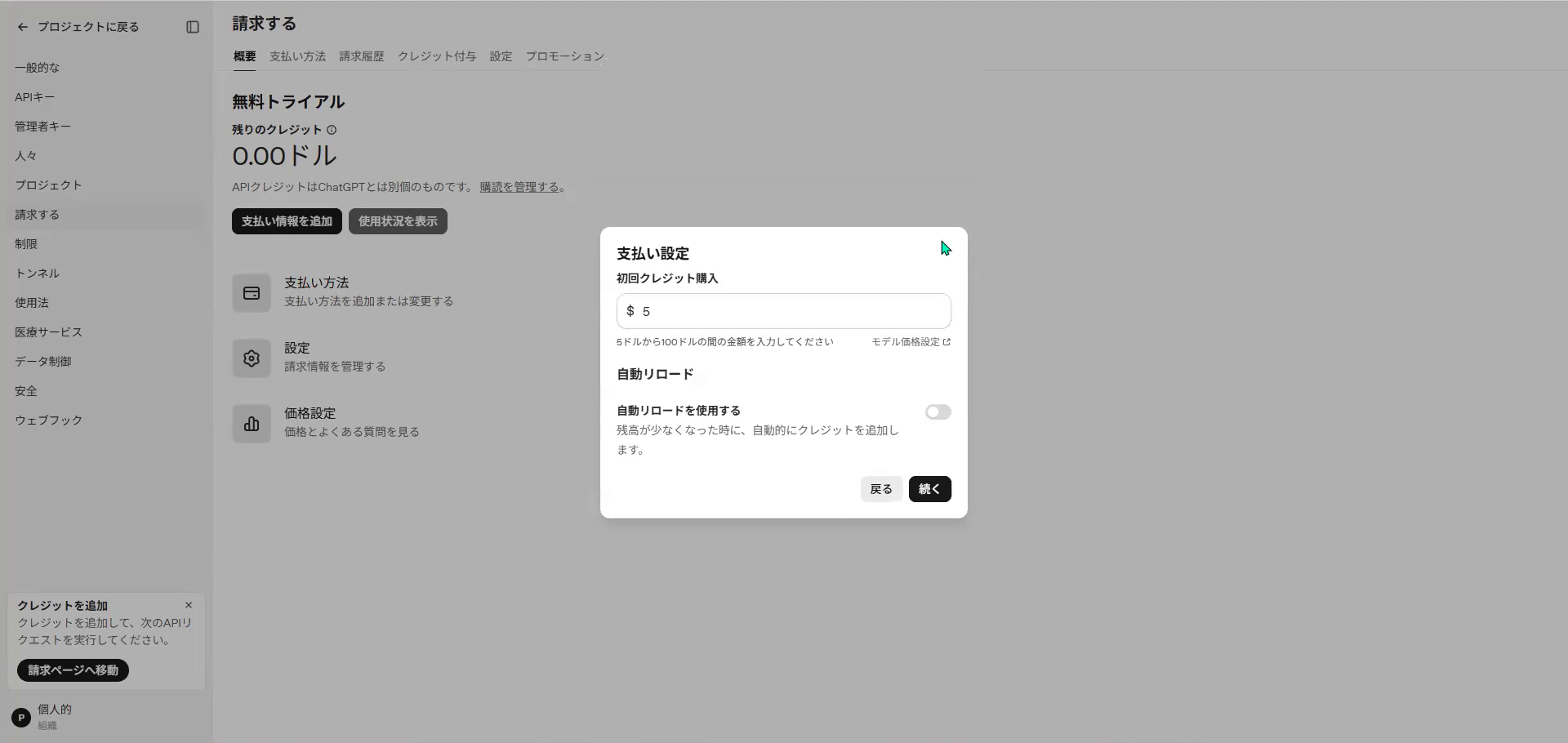 5ドルにして、自動リロードをオフにしたところ(日本語表示)